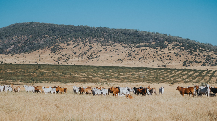 The Framework explained