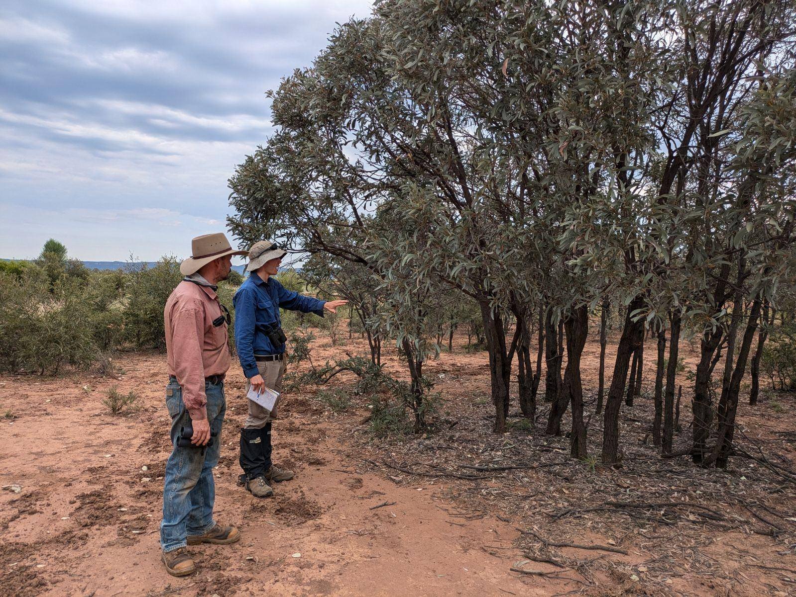 Balancing business with biodiversity