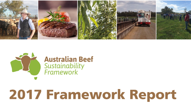 First ever Framework for beef future