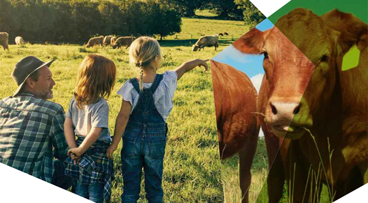 Beef industry reports progress on sustainability, calls for rational, evidence-based debate