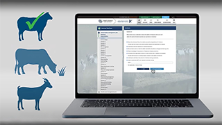 New animal welfare requirement introduced to LPA accreditation