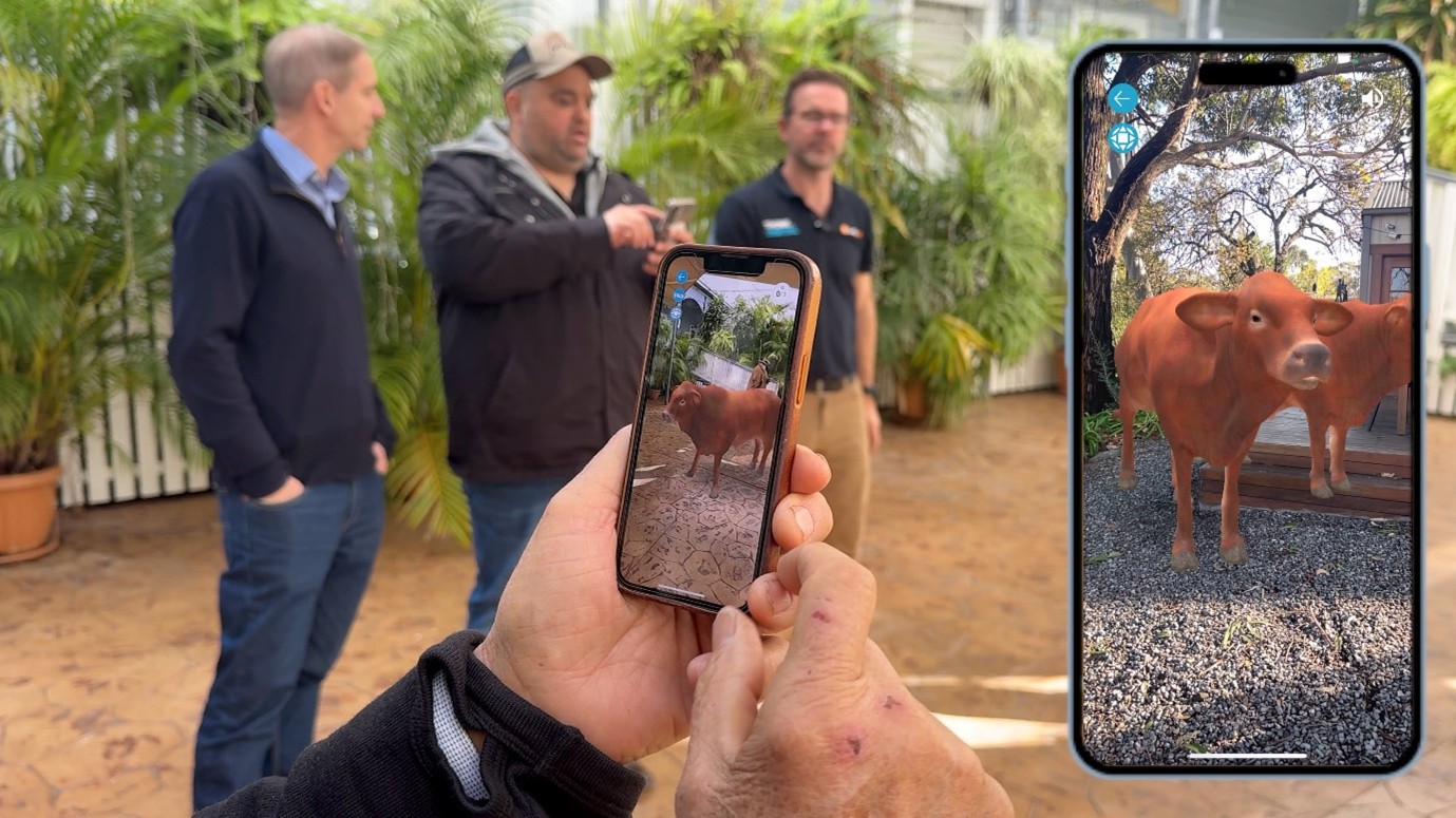 Virtual connections become reality on country