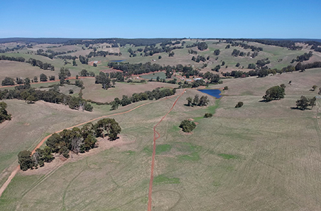 AMPC helps clarify issues around deforestation