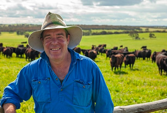 EBVs and carcase feedback help South Australian producer improve beef cattle herd