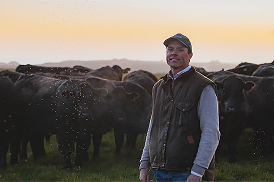 Low stress handling improves Victorian farmer's bottom line