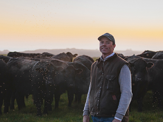 Low stress handling improves Victorian farmer's bottom line